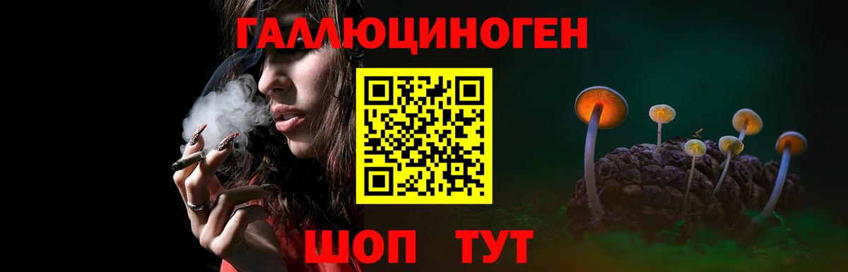 Галлюциногенные грибы мухоморы Тосно