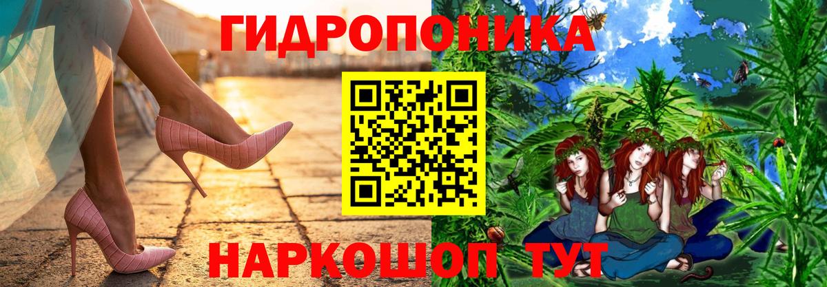 Бошки марихуана индика  Вход с VPN  Шишки марихуана тримм  Тосно  Бошки марихуана AK-47 